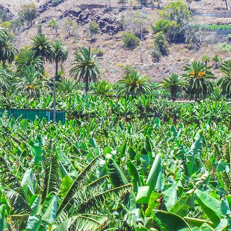 El Refugio Los Portales 아루카스 외부 사진